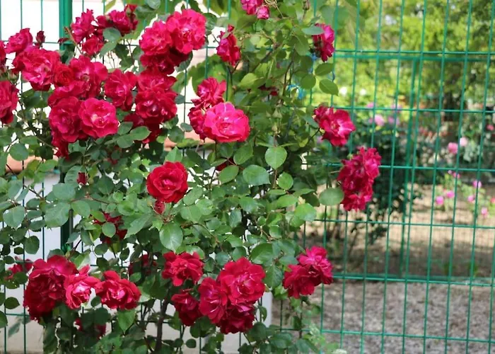 Vento Casa Gallipoli Casa de Férias Canakkale